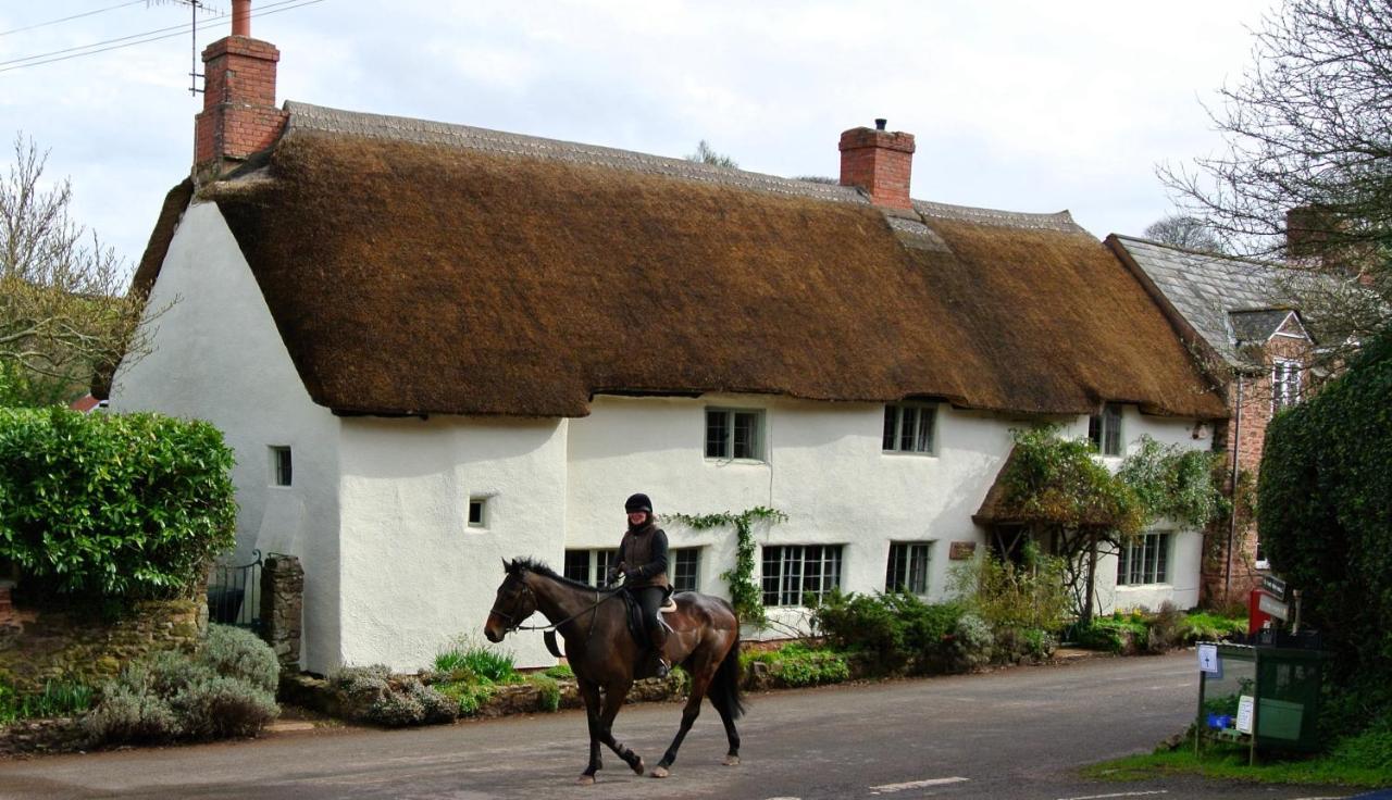 Notley Arms Inn Exmoor National Park Elworthy المظهر الخارجي الصورة