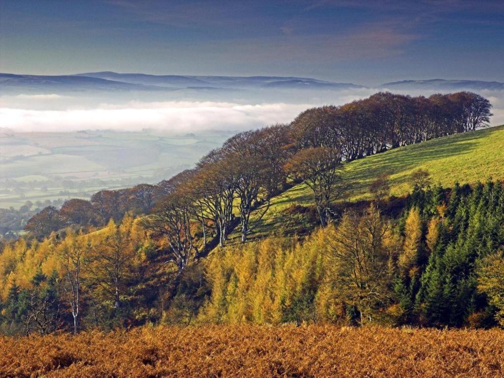 Notley Arms Inn Exmoor National Park Elworthy المظهر الخارجي الصورة
