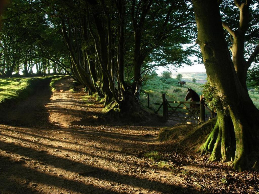Notley Arms Inn Exmoor National Park Elworthy المظهر الخارجي الصورة