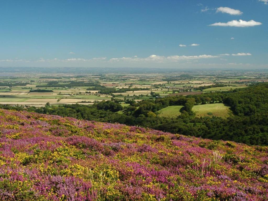 Notley Arms Inn Exmoor National Park Elworthy المظهر الخارجي الصورة
